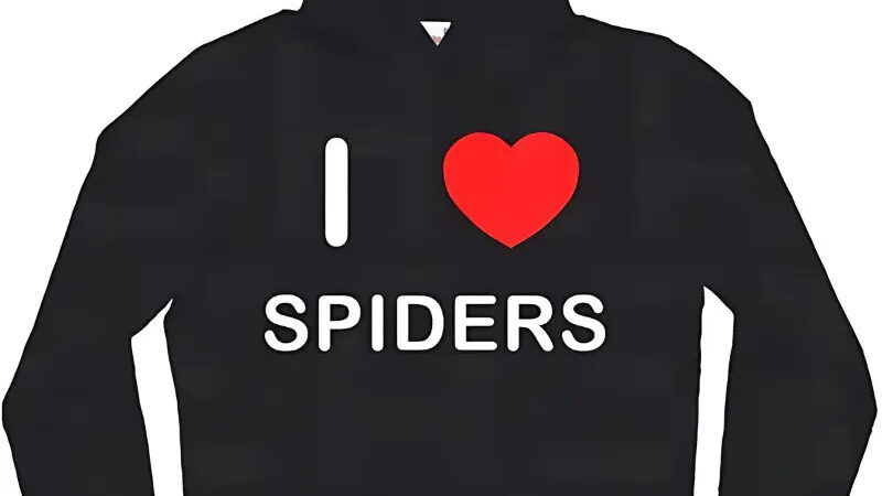 black spider hoodie
