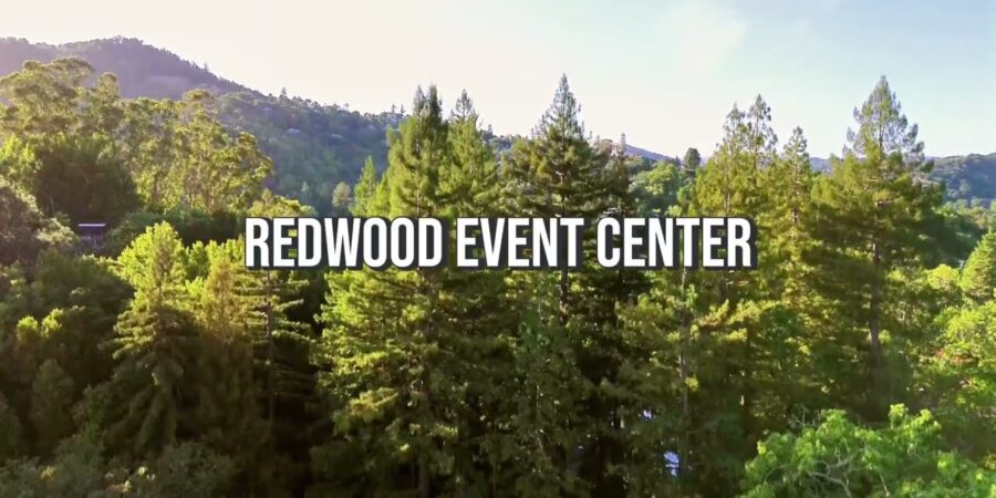 redwood