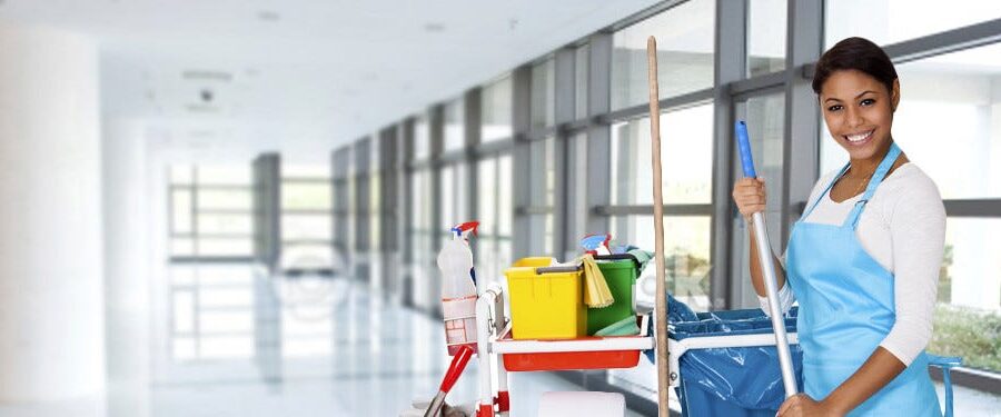 schoonmaken bedrijf tienhoven schoonmaken bedrijf tienhoven