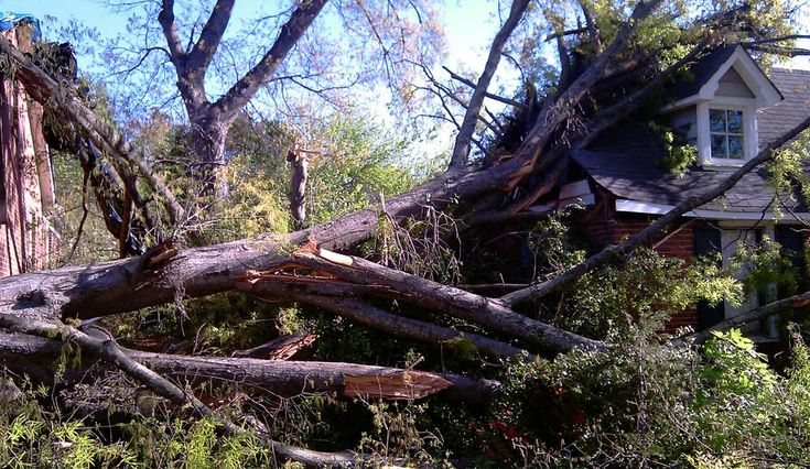 Storm Damage Tree Service Preston Storm Damage Tree Service Preston