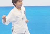 TKD helps students reach their dreams 4a brighter, healtheir future