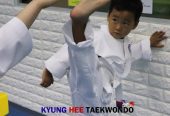 Embark on Your Taekwondo Journey with Blocks, Punches, and Kicks