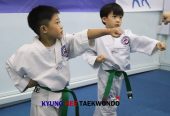 Embark on Your Taekwondo Journey with Blocks, Punches, and Kicks