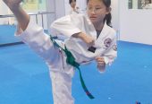 Through Taekwondo, we can kick our way into a brighter future