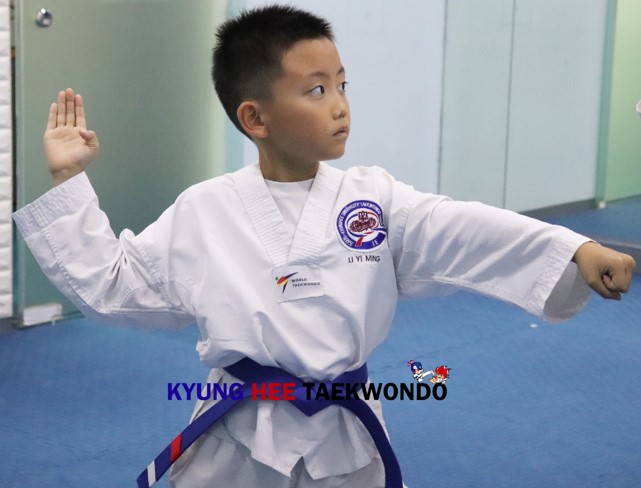 Embark on Your Taekwondo Journey with Blocks, Punches, and Kicks