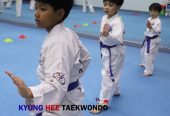 TKD helps students reach their dreams 4a brighter, healtheir future