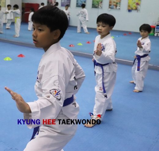 TKD helps students reach their dreams 4a brighter, healtheir future