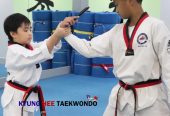 TKD partner drills enhance skills and promote teamwork and growth