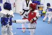 TKD partner drills enhance skills and promote teamwork and growth