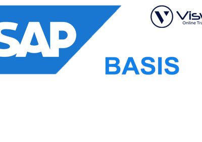 SAP-BASIS