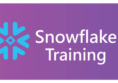 Snoflake-Training