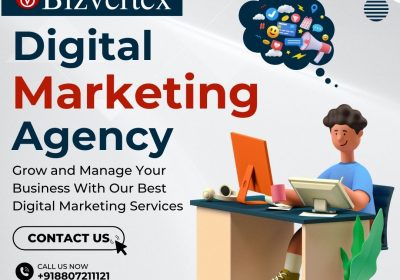 Bizvertex-Digital-Marketing-Agency