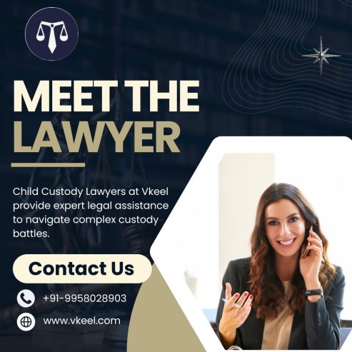 Child Custody Lawyers in Delhi