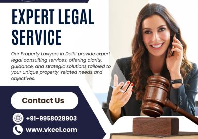 Property-Lawyers-in-Delhi-1