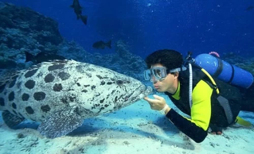 Highlights of Sharm El Sheikh Shore Excursions