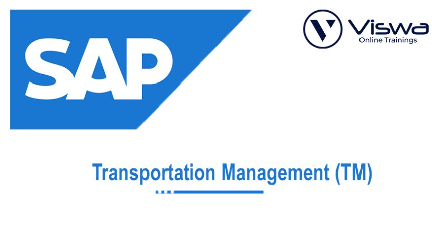 SAP TranSpositon Management Online Training