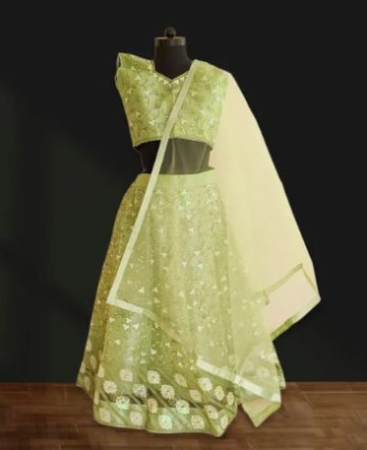 Green Lehenga choli