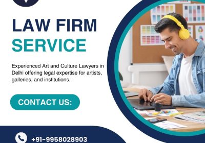 Art-and-Culture-Lawyers-in-Delhi