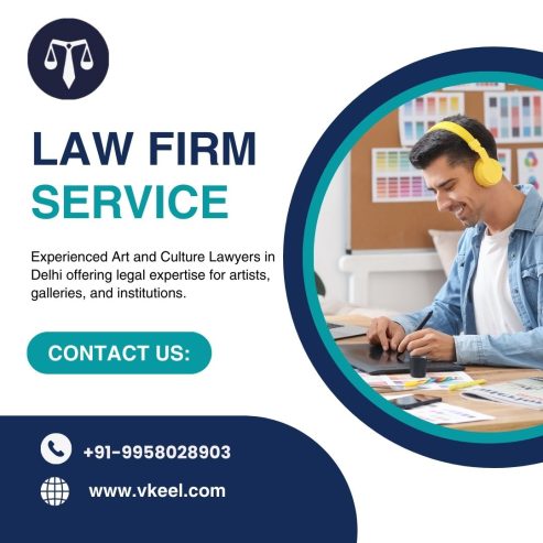 Art And Culture Lawyers in Delhi