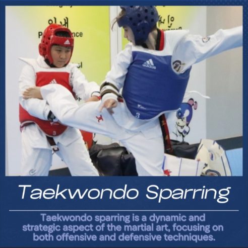 Taekwondo lessons with poomsae and sparring offer excellent training