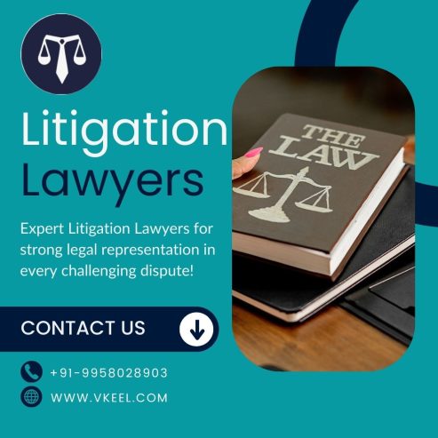 Litigation Lawyers in Delhi