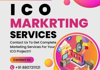 Plurance-ICO-Digital-Marketing-Services-2