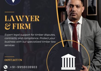 Timber-Lawyers-in-Delhi