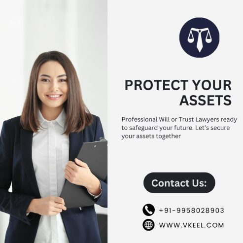 Wills or Trust Lawyers in Delhi