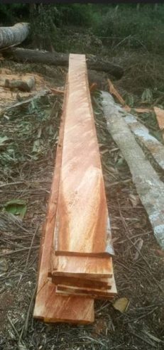 Supply quality African hardwood planks and logs for sale