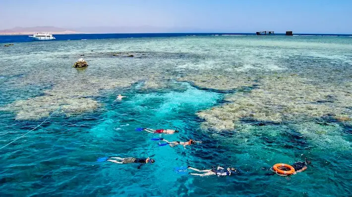 Day Trip to Tiran Island Snorkeling from Dahab