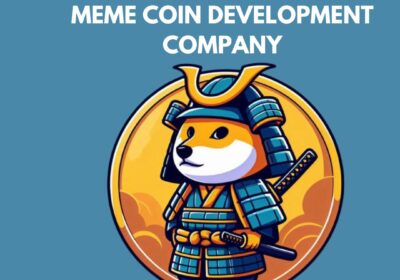 MEME-COIN-DEVELOPMENT-COMPANY-6