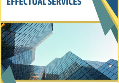 Patent-Litigation-Effectual-Services