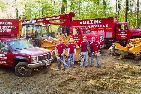 Tree Company in NJ