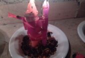 Simple to cast lesbian love spells in Fylde+256758552799