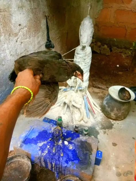 Effective black magic love spells that work fast  in  Birkenhead+256758552799