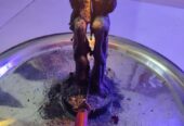 Powerful gay and lesbian spells caster that really work in Henderson+256742198708