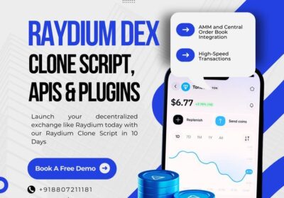 Raydium-DEX-Clone-Script