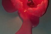 Effective pregnancy’s spells that work now  in Syria+256742198708