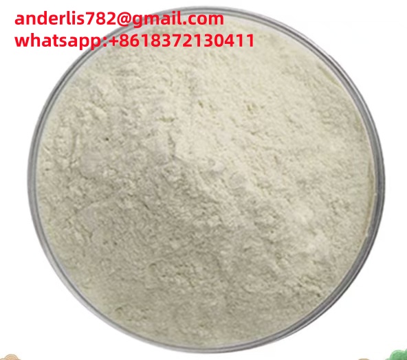 Milk thistle extract Silybum marianum extract silymarine silibinin