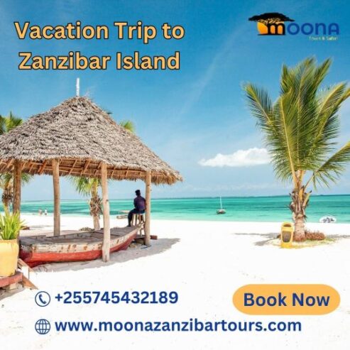 Zanzibar Tours & Excursions