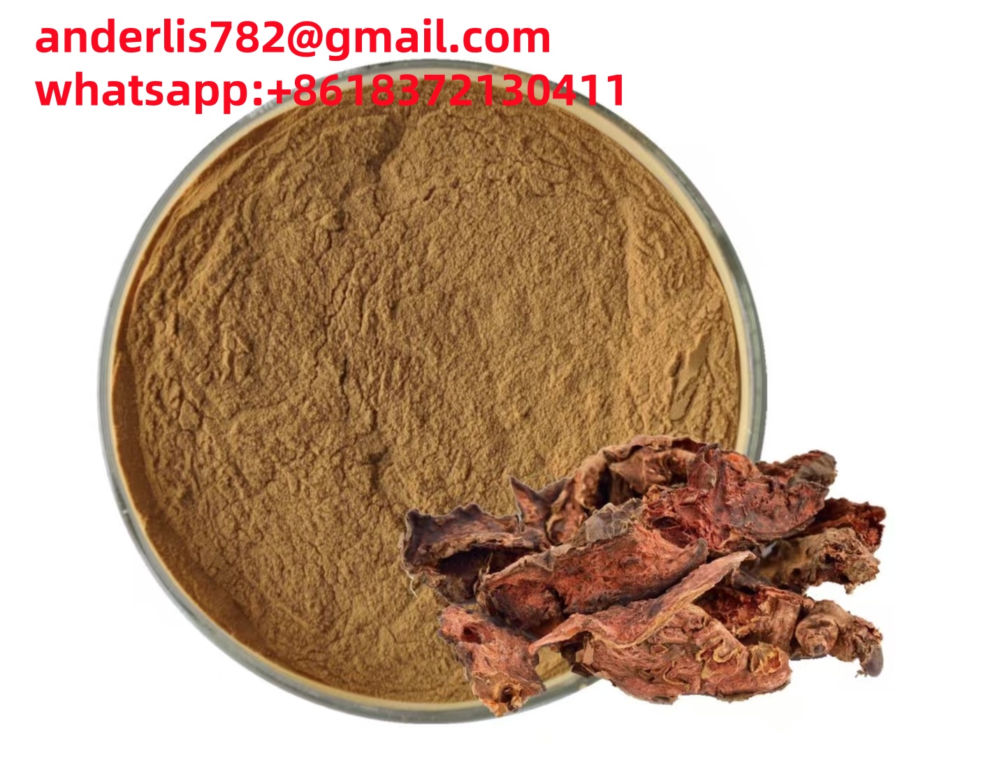 Salidroside Rhodiola rosea extract,Rhodiola Extract