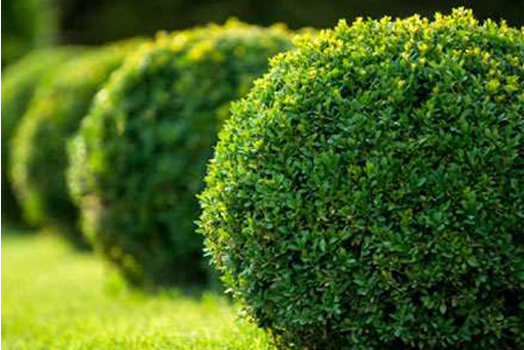 Draper Landscaping Salt Lake City
