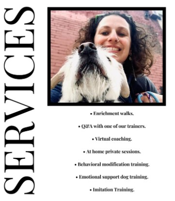 Positive reinforcement dog training: Mana Dog Training