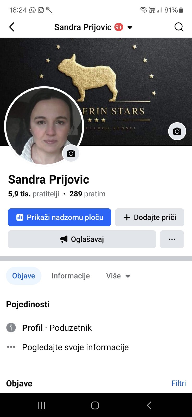 Pink Caramel French Bulldog