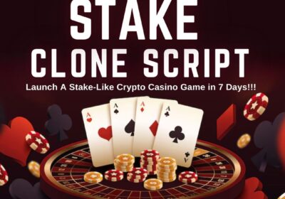 Bizvertex-Stake-Clone-Script-2