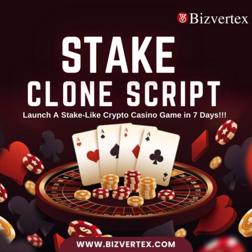 Generate Consistent Revenue with a Stake Clone Script for Crypto Gaming