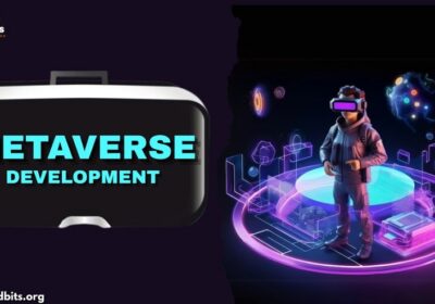 METAVERSE-IMAGEs