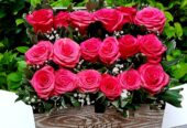 Arreglos florales, santo domingo!
