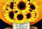 Arreglos florales, santo domingo!