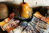 Traditional Spiritual Healer Love Spells +27730651163